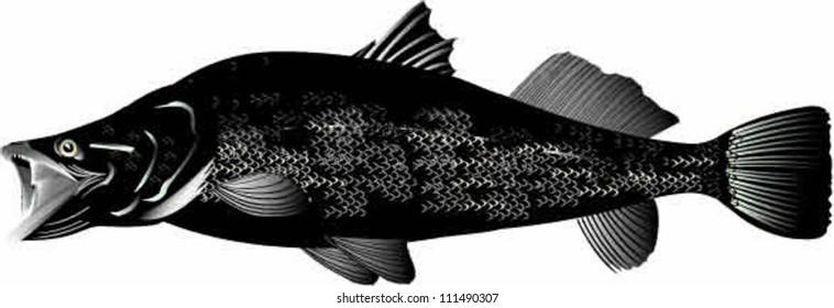 Nile Perch Silhouette