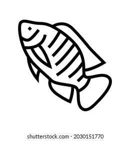 nile tilapia line icon vector. nile tilapia sign. isolated contour symbol black illustration