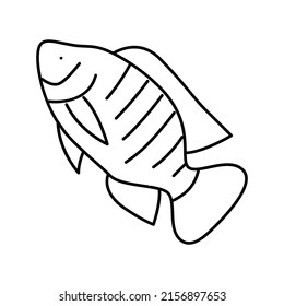 nile tilapia line icon vector. nile tilapia sign. isolated contour symbol black illustration