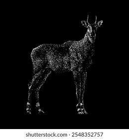 nilgai hand drawing vector isolated on black background.