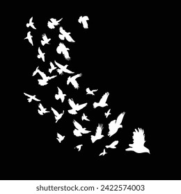 A nimal Birds flying on a Black background.