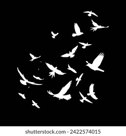 A nimal Birds flying on a Black background.