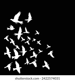 A nimal Birds flying on a Black background.