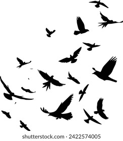 A nimal Birds flying on a white background.