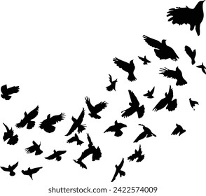 A nimal Birds flying on a white background.