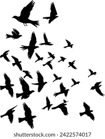 A nimal Birds flying on a white background.