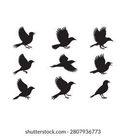 Nine Black Bird Silhouettes Against A White Background