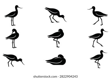 Nine black silhouette birds in different standing and walking poses