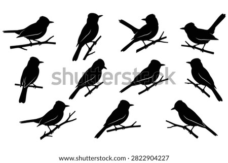 Nine black silhouette birds sitting on thin branches against transparent background