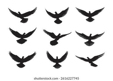Nine black silhouettes of pigeons in various flight positions against a white background.