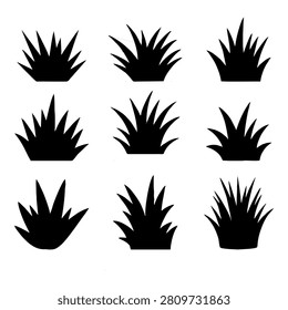 Nine black silhouettes of spiky plants arranged in a grid pattern, showcasing different shapes and sizes against a white background.