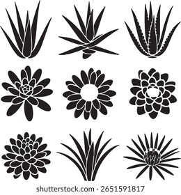 Nine black silhouettes of various succulents and flowers against a white background. The illustrations feature different styles of aloe plants and daisy-like blooms in a simple, graphic style.