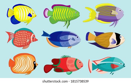 Nine cute fish characters. Fish cartoon assets for learning and children's products. Vector based design