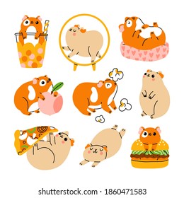 Nine cute guinea pigs characters, vector illustration set, isolated on white