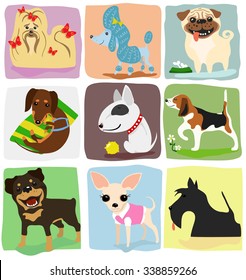nine different dog breeds set. vector drawing illustration