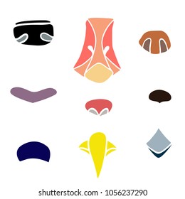 Nine different noses of animals and birds of Russian fairy tales 