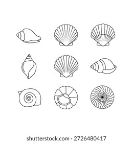 Nine different seashells are illustrated in silhouette, showcasing various shapes and patterns