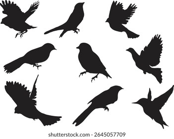 Nine distinct bird silhouettes arranged creatively against a plain background.