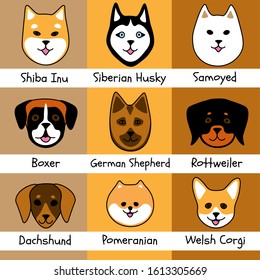 nine dog breeds in cute cartoon style