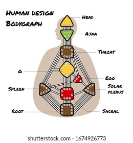 Nine energy centers. Head, ajna, throat, ego, solar plexus, sacral, root, spleen, g center