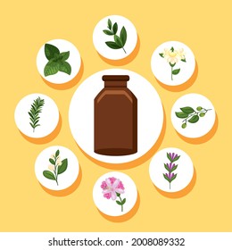 nueve elementos esenciales ajustar iconos de aceites