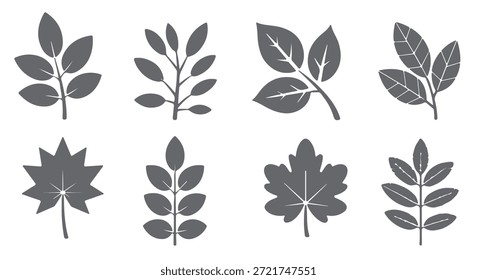 neun graue Blatt Silhouetten botanische Illustrationen Set