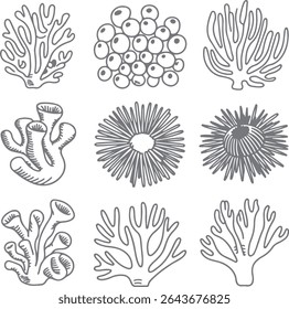 Nove ilustrações desenhadas à mão em escala de cinza de vários recifes de corais da vida marinha, incluindo coral, ouriços do mar e anêmonas Estilo de arte de linha simples sobre fundo branco