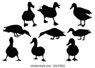  nine mallard duck silhouettes
