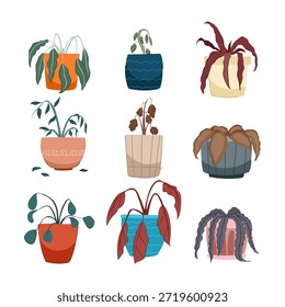 Nueve plantas en macetas descuidadas en varios estados de marchitamiento y descomposición, ilustrando conceptos de falla hortícola, muerte de plantas y la necesidad de un cuidado adecuado