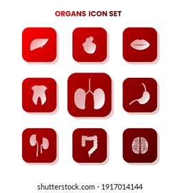 Nine ORGAN icons in one set with white color on gradient and white background. Vector illustration