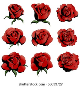 nine red roses