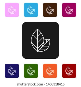 Nine styles flat rectangle illustration  Tea leaf icon. Tea theme