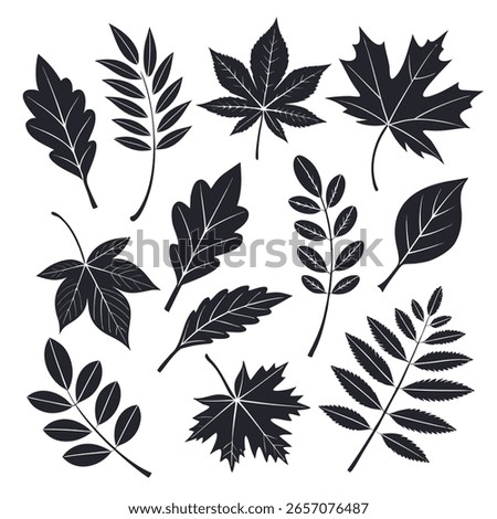 Nine Stylized Black Silhouettes of Various Leaves leaf