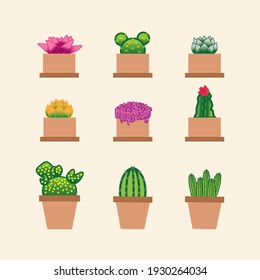 nine unique vector cactus illustrations