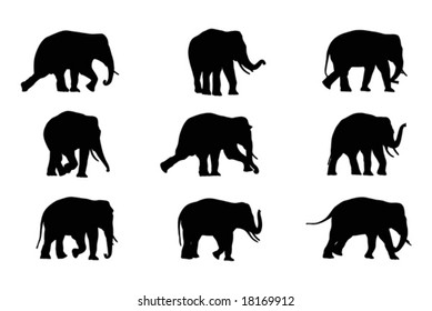 nine walking elephant  silhouettes ,vector collection