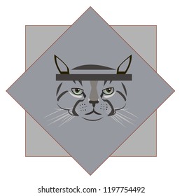 Ninja cat, vector