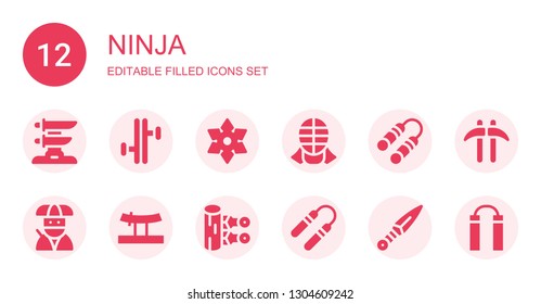 ninja icon set. Collection of 12 filled ninja icons included Katana, Tonfa, Shuriken, Kendo, Nunchaku, Ninja, Kunai, Kusarigama