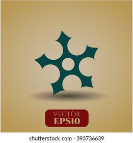 Ninja Star high quality icon