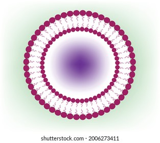 Niosome, non ionic surfactant based vesicle