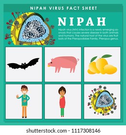 Nipah virus infection is a newly emerging zoonosis that causes severe disease in both animals and humans. 