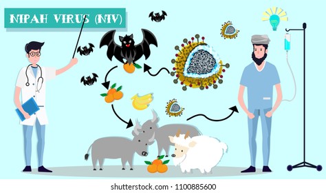 Emerging Virus Images, Stock Photos & Vectors | Shutterstock