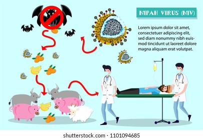 Nipah virus (niv) infection is a newly emerging zoonosis that causes severe disease in both animals and humans.flat cartoon design for info graphic,cover,brochure,flyer,report,book