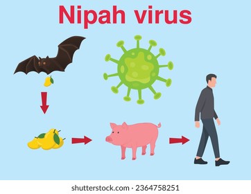 nipah virus (niv) infection is a newly emerging zoonosis that causes severe disease in both animals and humans.  Healthy cartoon concept vector illustration. 