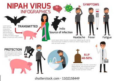 Nipah virus (niv) Infographics is a newly emerging zoonosis that causes severe disease in both animals and humans. Healthy cartoon concept vector illustration. Symptoms and prevention of Nipah Virus.