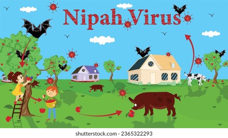 Nipah Virus Spread Illustration with Transmission from Bats into People and Animals