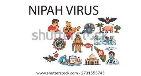 nipah virus structure and viral replication