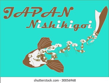 "nishikigoi"