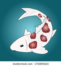 Nishikigoi or koi fish of type Goromo or Koromo, a white base with purplish red spots koi