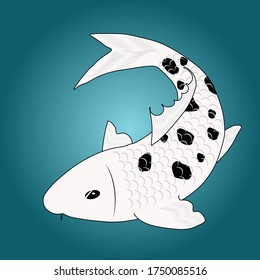 Nishikigoi or koi fish of type Shiro Bekko, a white base with small black spots koi