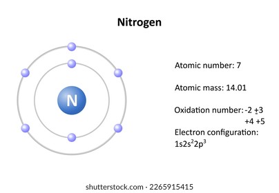 Estructura atómica de nitrógeno, masa atómica, número atómico y configuración de electrones. Ilustración vectorial.